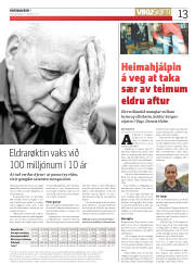 Síða 13