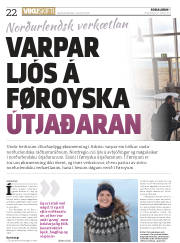 Síða 22