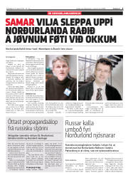 Síða 3