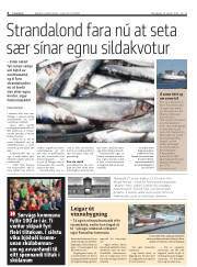 Síða 6