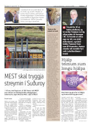 Síða 7
