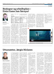 Síða 13
