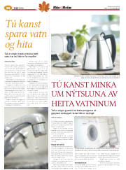 Síða 36