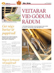 Síða 56