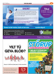 Síða 65