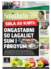 Síða 1