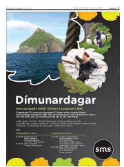 Síða 9