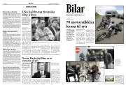 Síða 8
