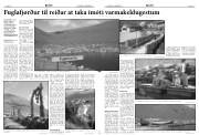 Síða 11