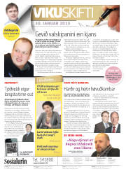 Síða 2