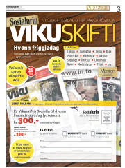 Síða 3