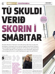 Síða 6