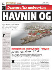 Síða 12