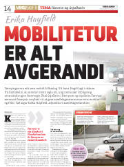 Síða 14