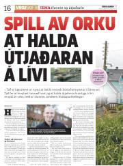 Síða 16