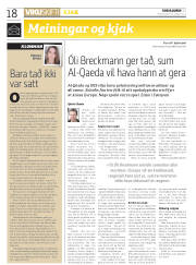 Síða 18