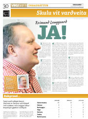 Síða 30