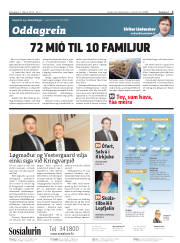 Síða 2