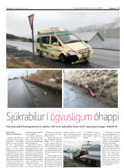 Síða 3