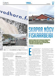 Síða 41