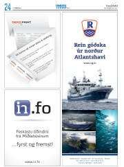 Síða 48