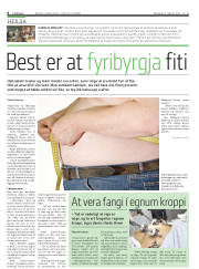 Síða 8