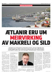 Síða 12