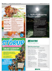 Síða 24