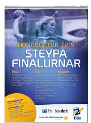 Síða 31