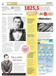 Síða 4