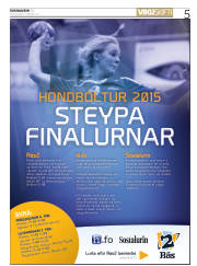 Síða 5