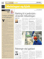 Síða 16