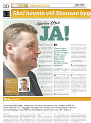 Síða 20