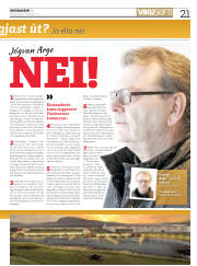 Síða 21