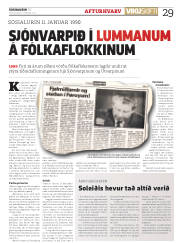 Síða 29