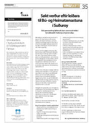 Síða 35