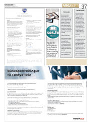 Síða 37
