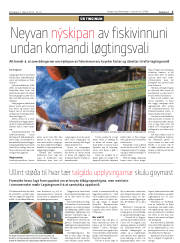 Síða 3