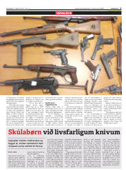 Síða 5