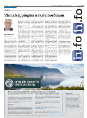 Síða 17