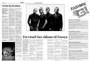 Síða 8