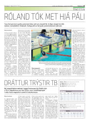Síða 23