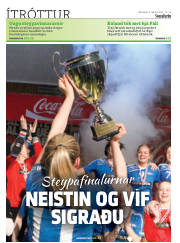 Síða 32