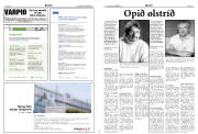 Síða 10