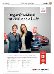 Síða 43