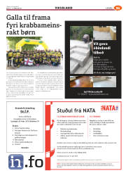 Síða 53