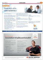 Síða 55