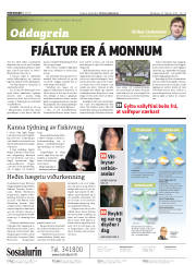Síða 2