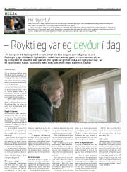 Síða 8
