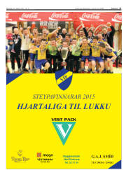 Síða 17